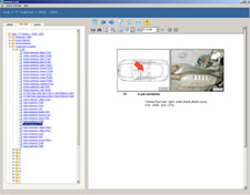Component Locations