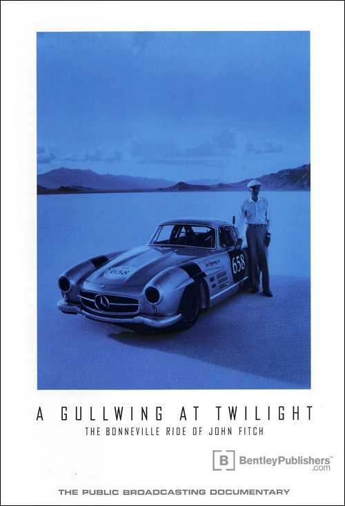 A Gullwing At Twilight front cover